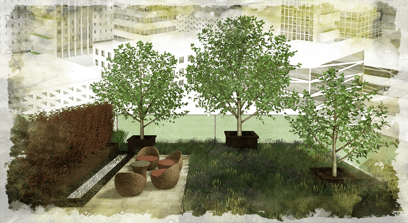3d rendering of a green roof with trees, seating area and a water feature.