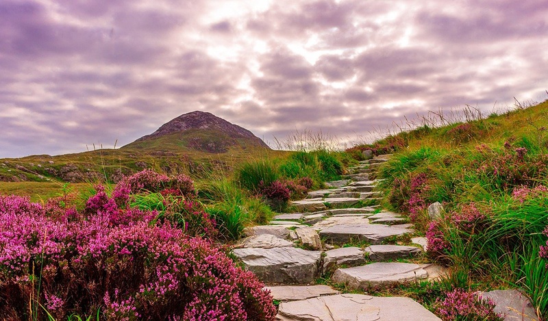 A stone path in a natural environment with pink flowers and a hill in the background.