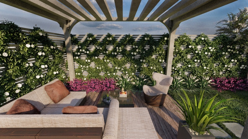 3d rendering of a backyard with a private seating area, pergola and criss cross vine in Melbourne, Australia.