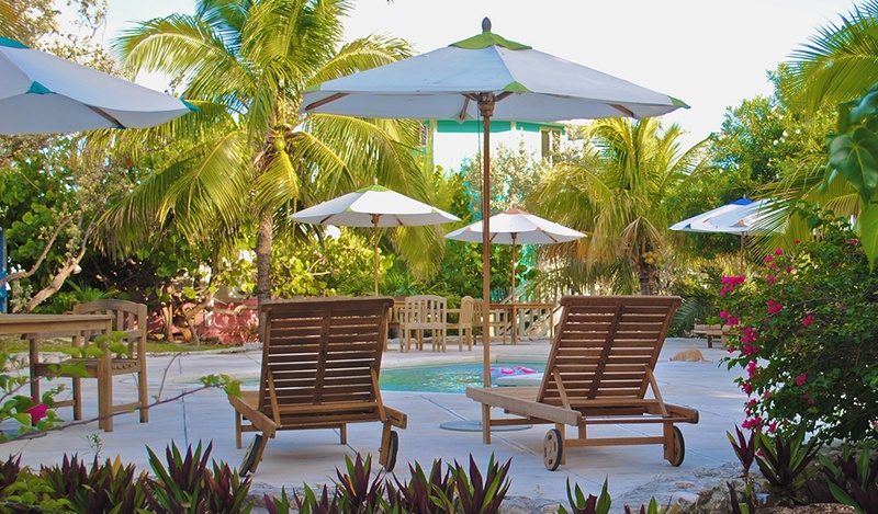 Palm trees, wooden sunbeds, and umbrellas surrounding a tiny pool.