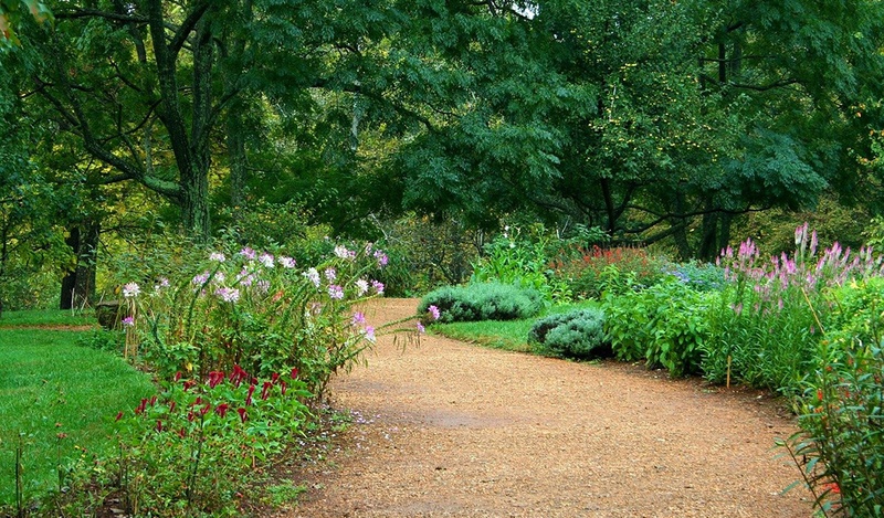 Permeable paving path in a garden with perennial flowers.