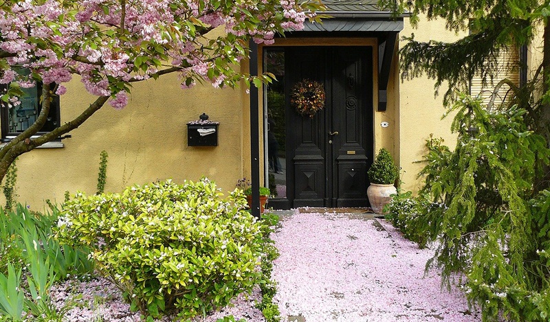 Pebbled entryway surrounded by plants and pink ornamental tree.