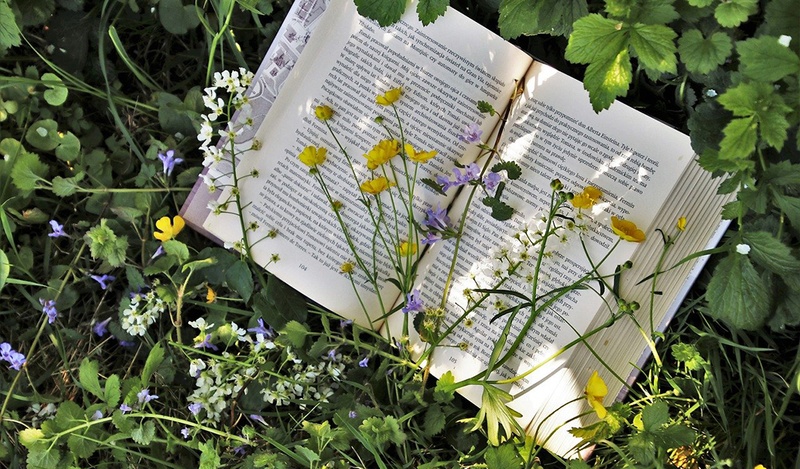opened book laying down in grass and flowers