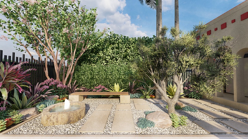 Frontyard garden with water feature, bench, olive tree and succulent plants