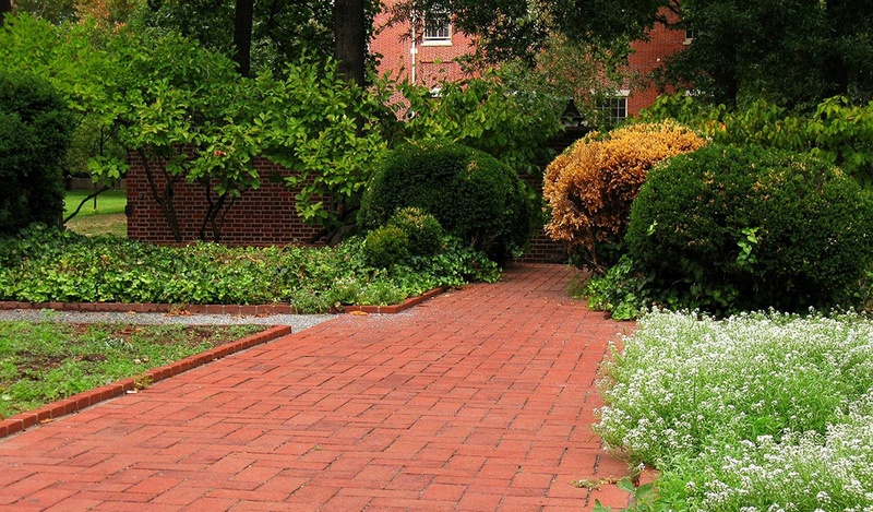 brick path with plants around