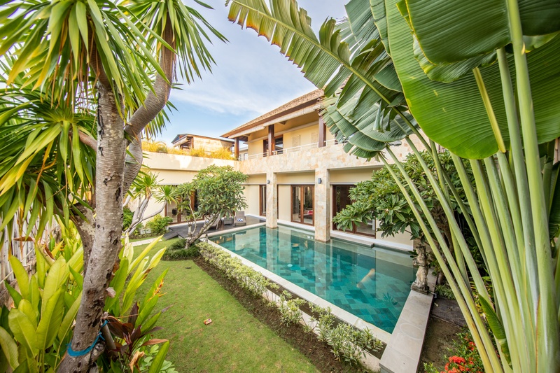 House with a pool surrounded by tropical trees and plants.