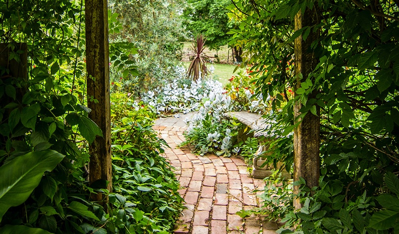 brick path surrounded with plants