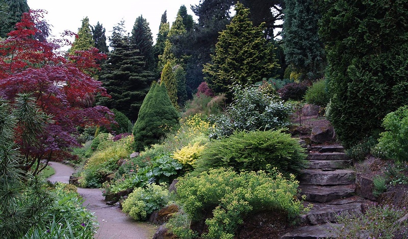 beautiful garden full of plants with rock steps