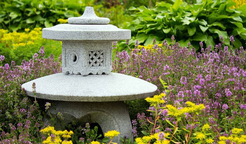 flowers in Japanese garden