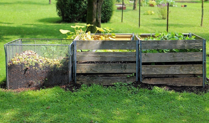 compost bins and raised vegetable garden